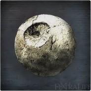 Brek's Stream profile image