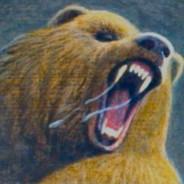 A Wild Bear's Stream profile image