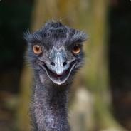 УшлыйСтраус's Stream profile image