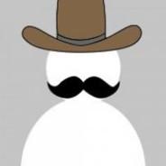VRonin's Stream profile image