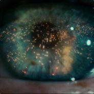 GARUDA's Stream profile image