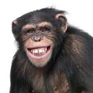 el goat's Stream profile image
