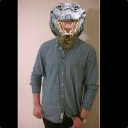 Olligator's Stream profile image