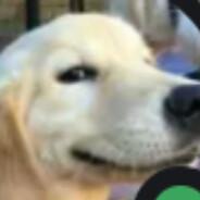 XrDs's Stream profile image