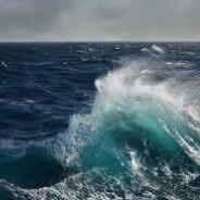 WildOceans's - Steam avatar