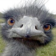 goga's Stream profile image