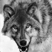 Svatopluk's - Steam avatar