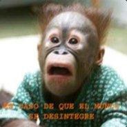Lokiten's - Steam avatar