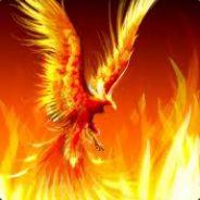 phoenixTFM's - Steam avatar