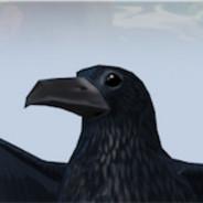 Aragorn55's Stream profile image