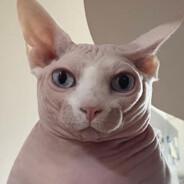 FatCat's - Steam avatar