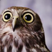 Owl Lomesto's - Steam avatar