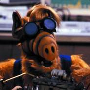 O'Connar's Stream profile image