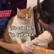 guarapraier | ERM's Stream profile image
