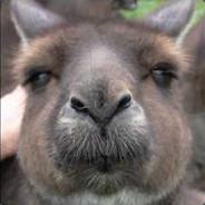 Das K.'s - Steam avatar