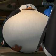 Niugnepybbuhc's Stream profile image