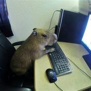 Capky's Stream profile image