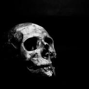 Doomsday777's Stream profile image