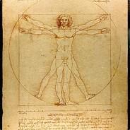 Leonardo da Vinci's Stream profile image