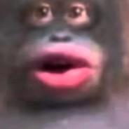 Benevolent Bean's Stream profile image
