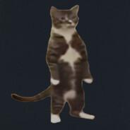 пу𐌊𐌀л𐌀's Stream profile image