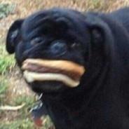 Kurger Bing's - Steam avatar