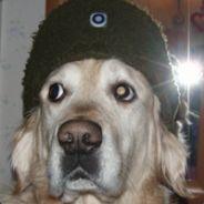 L00s3r's Stream profile image