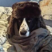 Durchfall's Stream profile image