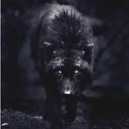 Kurookami's Stream profile image