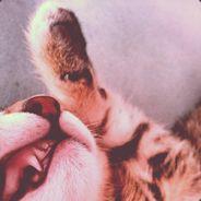 tazan's - Steam avatar