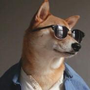 The_cheems5's - Steam avatar
