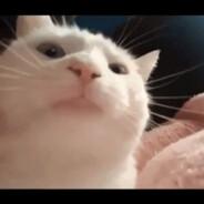 Evilbxnny's - Steam avatar