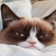 PuckaB's Stream profile image