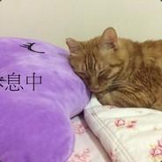 JiuLinLin's Stream profile image