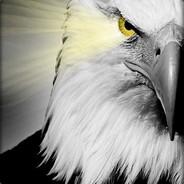 EAGLE77's Stream profile image