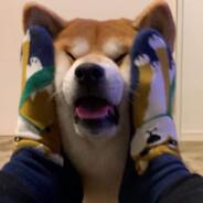 VIETNAMESE GANGZ !!!'s Stream profile image