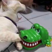 LEPS's Stream profile image