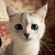 ct)'s Stream profile image