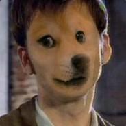 -eC^ DogeTennant's Stream profile image