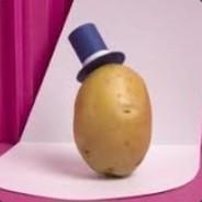 [BRE] Riwal's Stream profile image