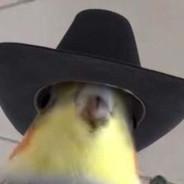 GLHAD's Stream profile image