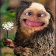 Wrigleys's - Steam avatar