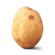 The Potato's Stream profile image