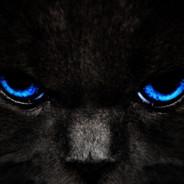gory6051's Stream profile image