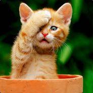 NickNackAttack's - Steam avatar