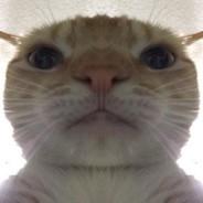 Fatih's - Steam avatar
