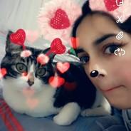 Nani's Stream profile image