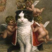 Quazz's Stream profile image
