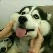 Hamster Park's - Steam avatar