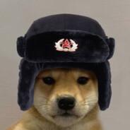 Petrica_frumosul's Stream profile image